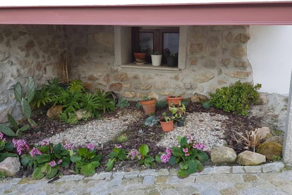 فيلا Casa Bento Moura Portugal Moimenta da Serra المظهر الخارجي الصورة