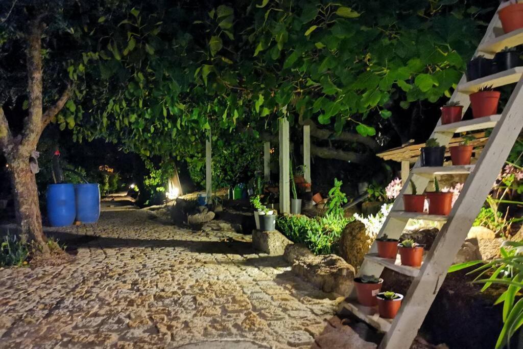 فيلا Casa Bento Moura Portugal Moimenta da Serra المظهر الخارجي الصورة