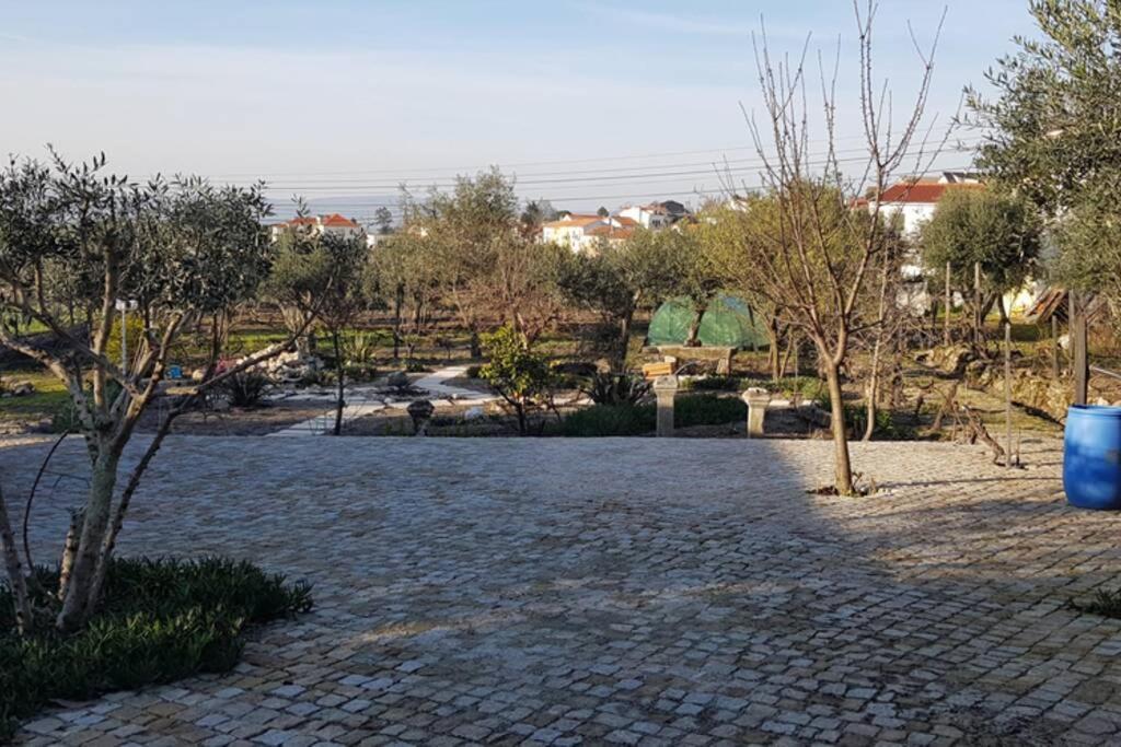 فيلا Casa Bento Moura Portugal Moimenta da Serra المظهر الخارجي الصورة